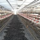 호구농장 이미지