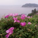 오*영 - 미추홀구 인주대로291번길 6 | 오*영
