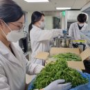 한국농약마트 이미지
