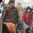 브레드위너 이미지