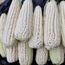 정남진 민박 이미지