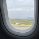 교토, 벚꽃, 커피