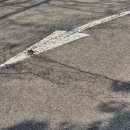 서양화 기초 이미지