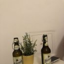 새미민박 이미지