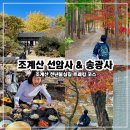조계산도립공원 송광사 주차장 화장실 | 조계산 등산코스 순천 단풍 여행ㅣ선암사·송광사 천년불심길 트레킹 후기