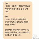 세연중학교 | 가족과 함께 다니기 좋은 아현필라테스 센터