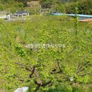 용방면사무소 이미지