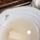 성원낙지 이미지