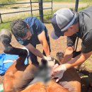 푸마2농장 이미지