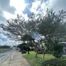 오션이니스프리 이미지