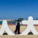 일박이일쓰리룸 이미지