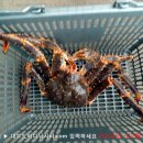 솔하우스 이미지