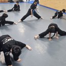 합기도 호신술 이미지