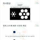 MS헤어샵 이미지