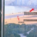 나무드론 - 중구 종가로 313 | 광안리해수욕장 여름밤 드론쇼 후기