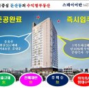 [소액투자정보] 1억3채 수익률10%대 수익형부동산 둔산동 스테이어반 이미지