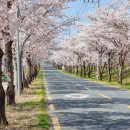 비슬로36길 이미지