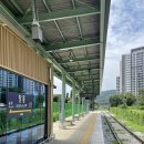 장흥계곡집 | [경기도 양주 계곡] 허경영 하늘궁이 바로 앞에 있는 &lt;장흥계곡집&gt; 솔직 후기