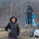 사과집민박 이미지