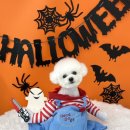 순댕이샵 이미지