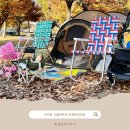 상삼공원 | 아이랑 가볼만한곳 | 한강공원 애견동반 주말 나들이 추천 🍂