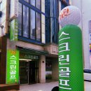 핀스크린골프 이미지