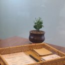 신동-89 | 수원로테이션소개팅추천 신동카페거리 커피연 참가후기 (내돈내산)