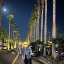 평대해수욕장 이미지