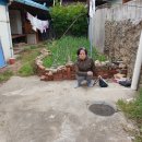 신화이용소 이미지