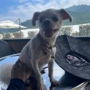 (주)가람푸드 이미지