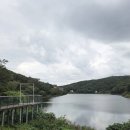 대1리 다리옆 | 팔현 1리 탐방 (feat.남양주시 오남 저수지)