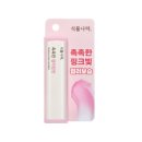 식물나라 이미지