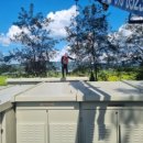 신탄진고속카 이미지