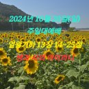 2024년 10월 20일(일) 주일대예배 열왕기하 13장 14~25절 생과 사의 아이러니 이미지