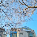 회야강변 이미지