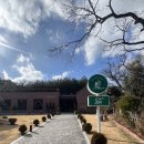 장성 | [장성] 장성카페누비 내돈내산 후기