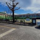 봉선초등학교 운동장 이미지