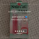 겨울 철에도 촉촉한, 페리페라 잉크무드 글로이 틴트 쿨톤 색상 추천