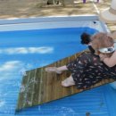 들안길애견펜션 이미지