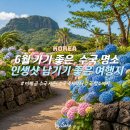 신례팜 | 6월 수국 명소 6곳 , 인생샷 남기기 좋은 여행지 추천 정리