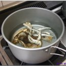 모림양과 이미지