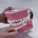 서울프리벤치과의원 이미지