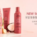 뉴트리코리아