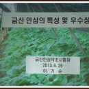 금산수삼시장(주) 이미지
