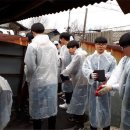 보은고등학교 이미지