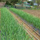 월현농장 이미지