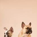 천둥소리 이미지