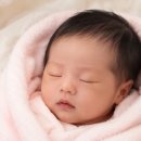11260-2-37-12 | 마지막 산모일기:임신후기~막달 임산부(31-37주)•증상•태동•몸무게변화•일상.zip