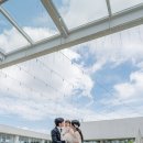 돌이가든 이미지