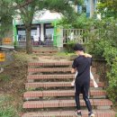 서봉산 산림욕장 2 네이버블로그